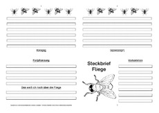 Fliege-Faltbuch-vierseitig-2.pdf